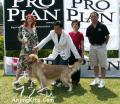 Klik untuk perbesar