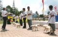 2005-09-10 | Pameran Anjing Kintamani 2005, Bangli