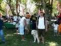 Bali Dog Show Exhibition