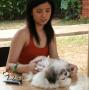 Open House Happy Pets Hotel & Swimming Pool