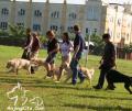 Weekend Training K9 & IPD 1
