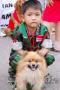 Pet Carnaval 2007