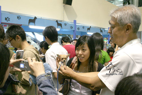 Pet Show 2007