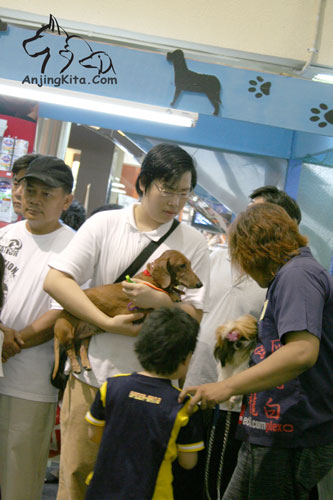 Pet Show 2007