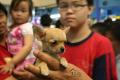 Pet Show 2007