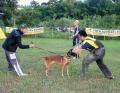 Klik untuk perbesar