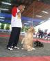 PERKIN Jatim 2X All Breed (April 2008)