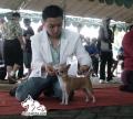 Klik untuk perbesar