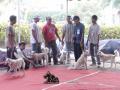 Klik untuk perbesar