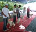Klik untuk perbesar