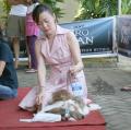 Klik untuk perbesar