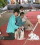 Klik untuk perbesar