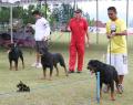 Klik untuk perbesar
