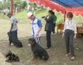 Klik untuk perbesar