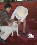 Klik untuk perbesar