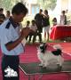 Klik untuk perbesar
