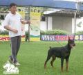 Klik untuk perbesar