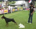 Klik untuk perbesar