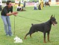 Klik untuk perbesar