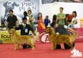 Klik untuk perbesar