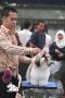 Klik untuk perbesar