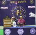 IPC 3 Days Back To Back