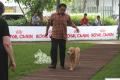 Klik untuk perbesar