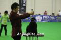 Klik untuk perbesar