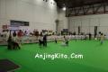 Klik untuk perbesar