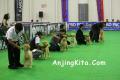 Klik untuk perbesar