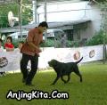 Klik untuk perbesar