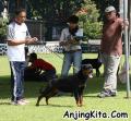 Klik untuk perbesar