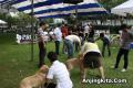 Klik untuk perbesar