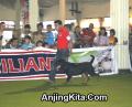 Klik untuk perbesar