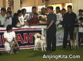 Klik untuk perbesar