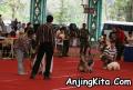 Klik untuk perbesar