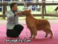 Klik untuk perbesar