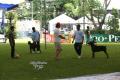 Klik untuk perbesar