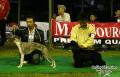 Klik untuk perbesar