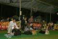 KBI & Perkin Jaya Back To Back & All Breed