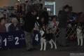 National Speciality SHCA 2009