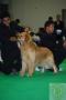 Klik untuk perbesar