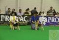 Klik untuk perbesar
