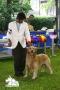 Klik untuk perbesar