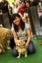 Klik untuk perbesar