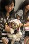 Dog Festival Bersama ALPO & Central Park