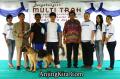 Klik untuk perbesar