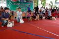 Klik untuk perbesar