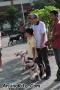 Klik untuk perbesar