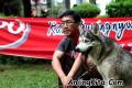 Klik untuk perbesar